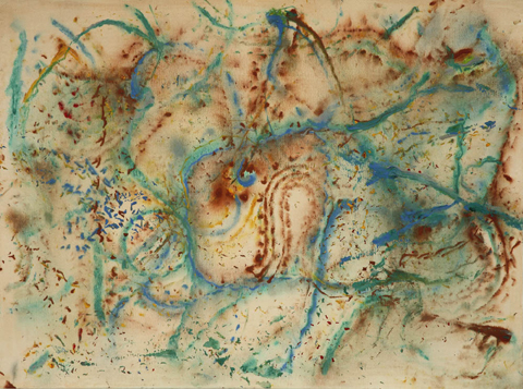 Стивен Катчер и насекомьи рисунки  Ba0059